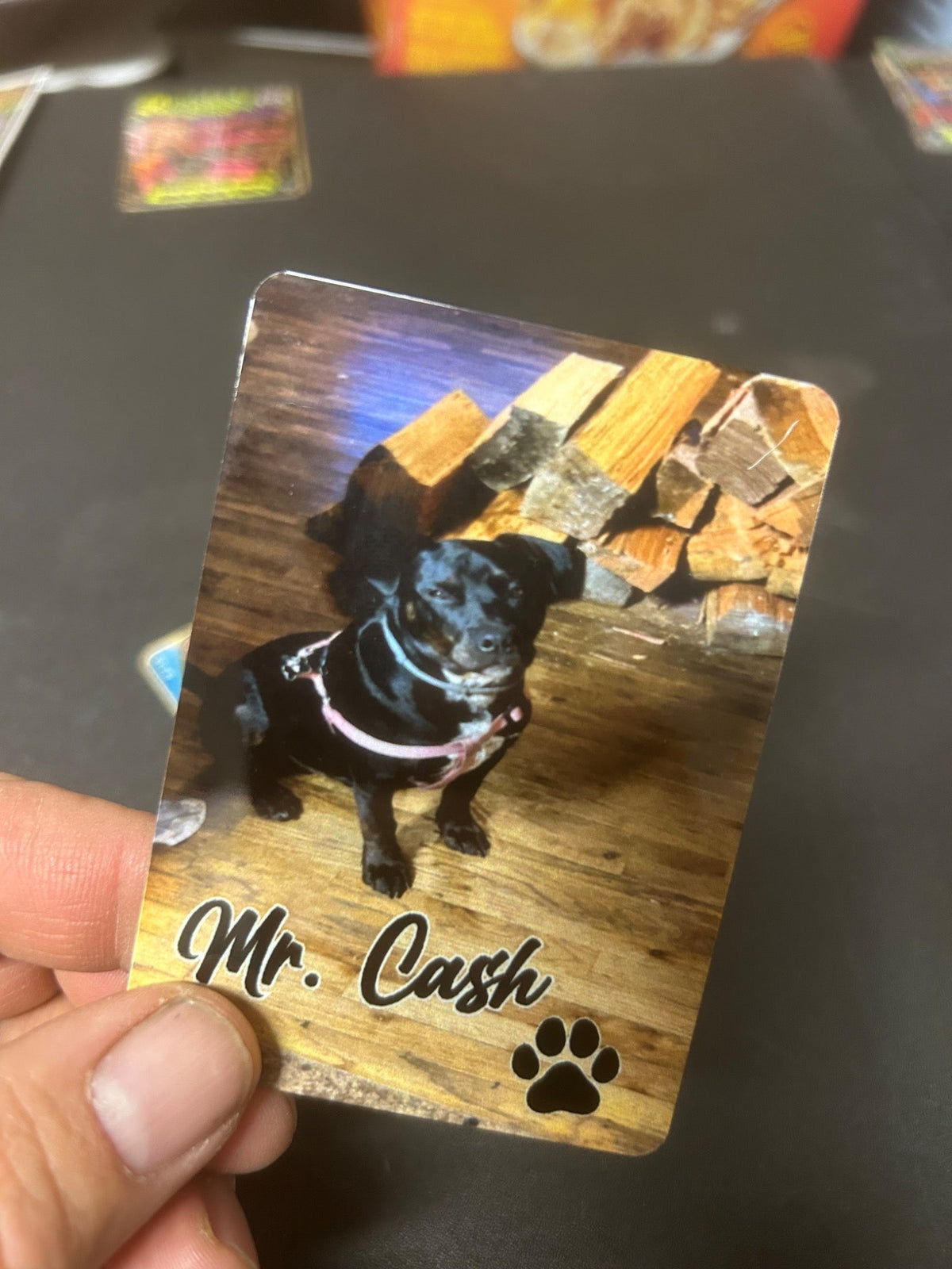 Mr. Cash pet keepsake card